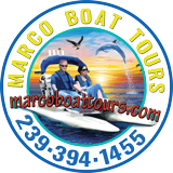 Marco Boat Tours - Dolphin and shelling tours